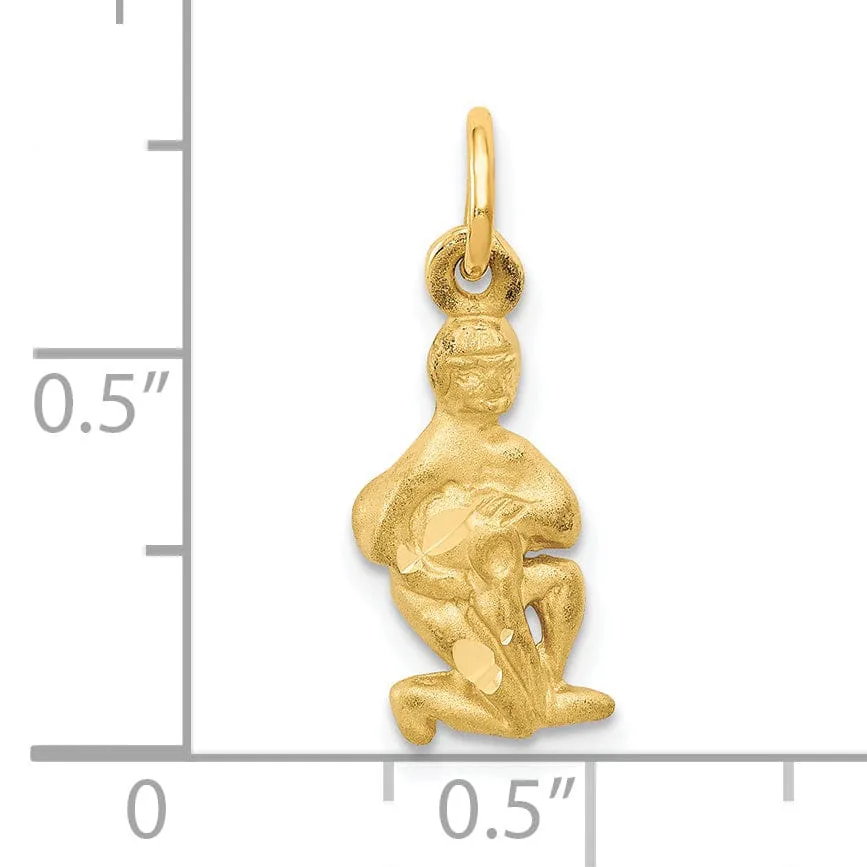 14k Yellow Gold Aquarius Zodiac Charm Pendant