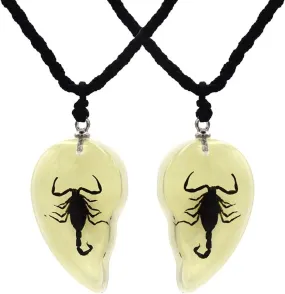 Insect & Scropions Necklace, Insect Pendant, Scropions Pendant Necklace