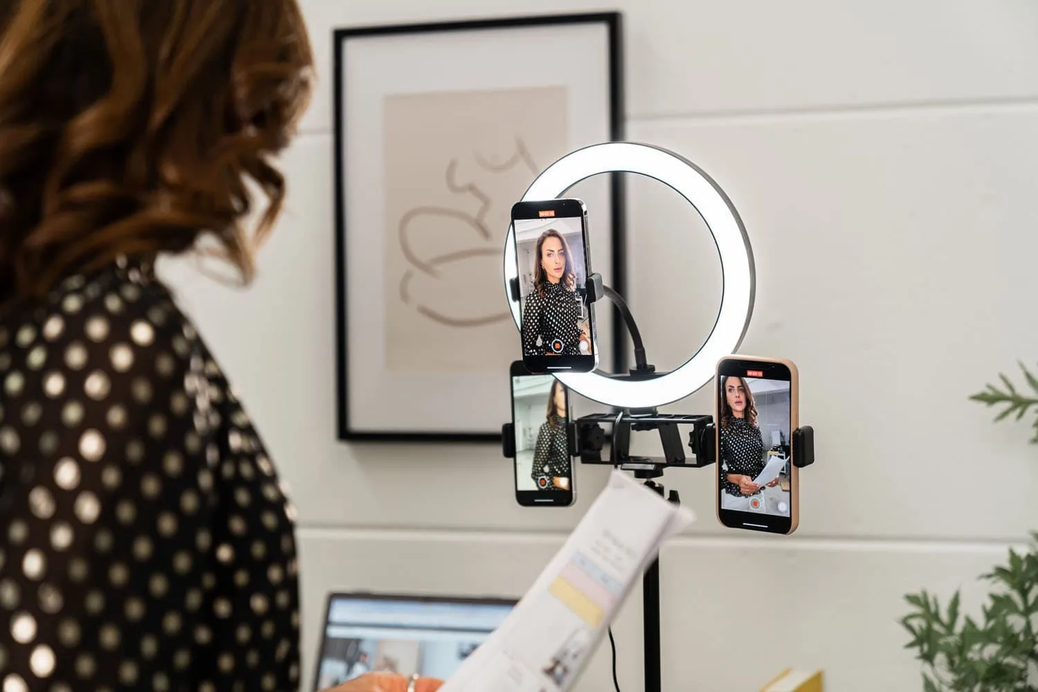 Ring Light 10" LED Livestream w/ Triple Phone Mount - Onyx