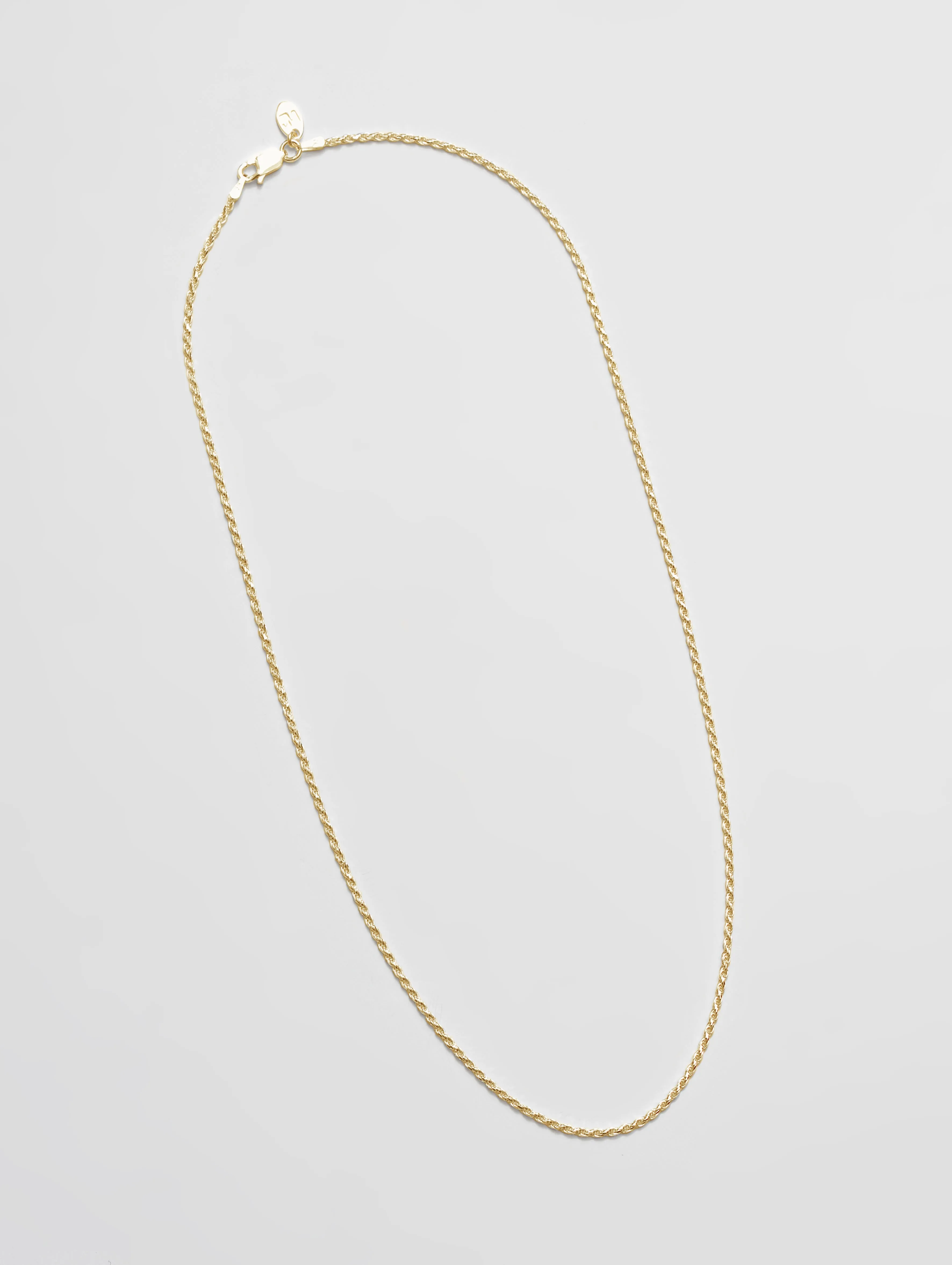 Rope Chain in Gold